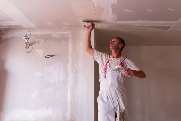 Best Wallpaper Removal and Painting  in Hope, IN